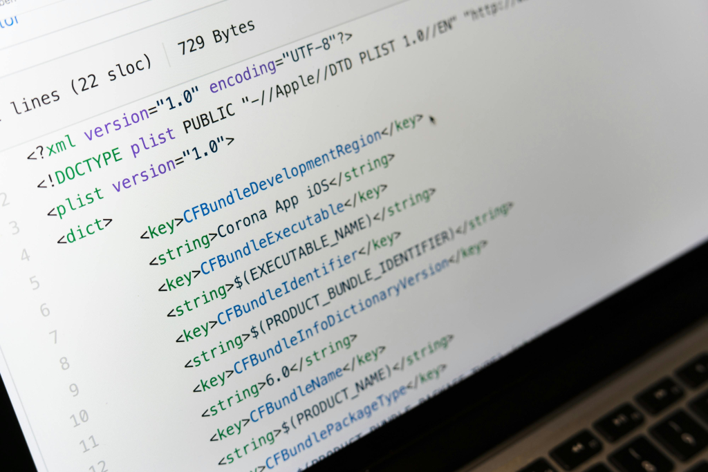 Machine-readable e-invoices can come in structured XML data files, ensuring interoperability and minimal business disruptions during B2B transactions.