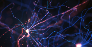 neural networks