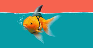 Goldfish disguised as a shark.