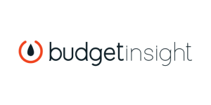 Budget Insight logo centered