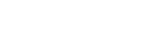 Oracle NetSuite logo integration