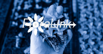 floralink case study